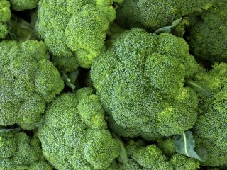 Voy a comprar brócoli. Destino supermercado. Estoy buscando productores