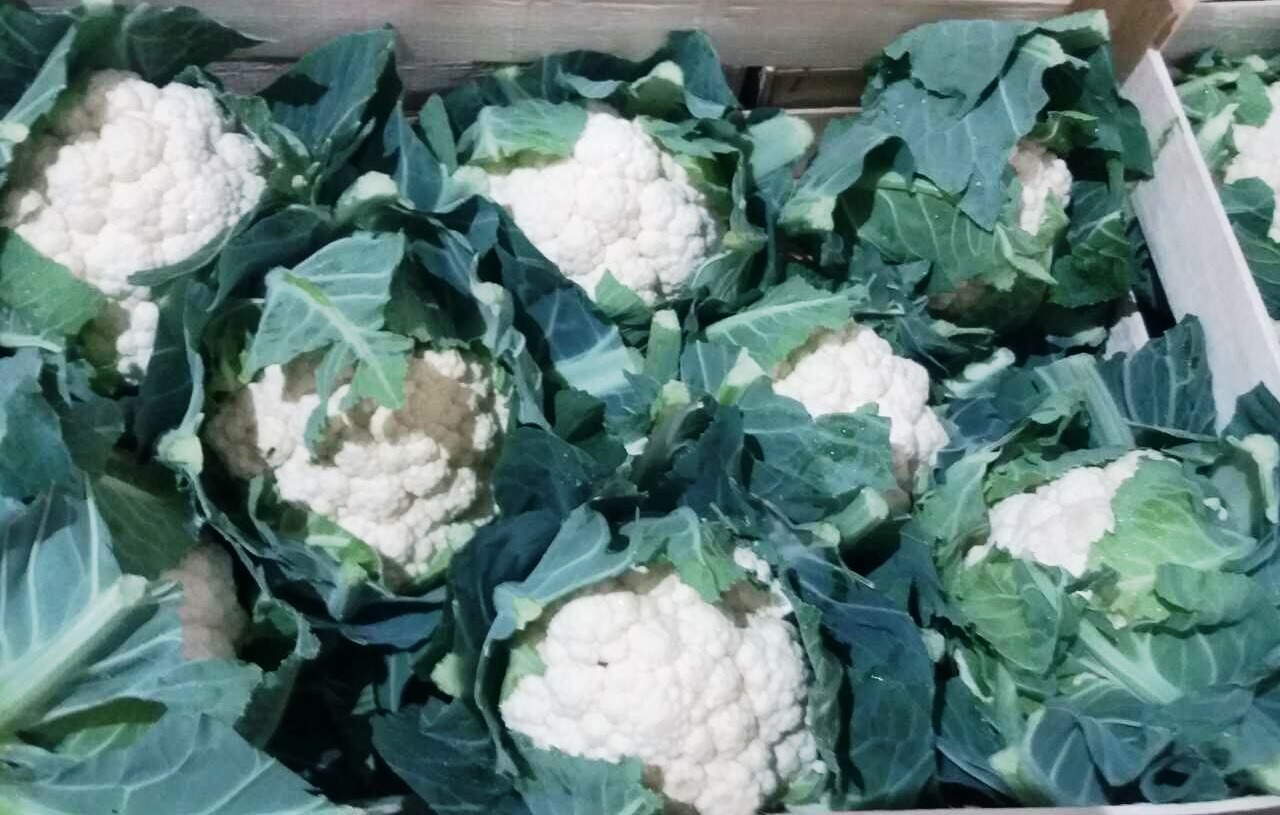 Compraré verduras frescas, coliflor, brócoli, invito a agricultores y grupos de productores a cooperar