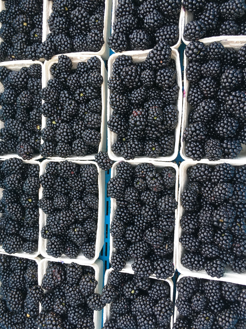 Venderé Blackberry 500 g