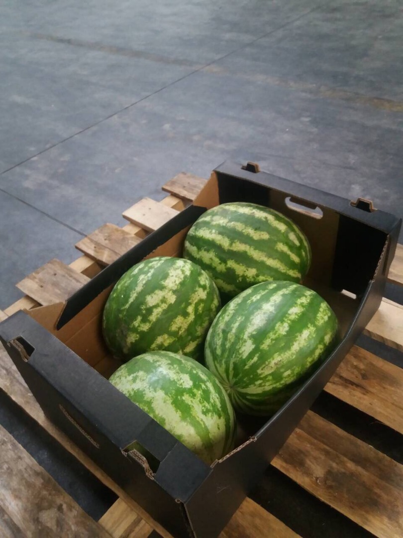 Venderé una sandía fresca, agradable y jugosa