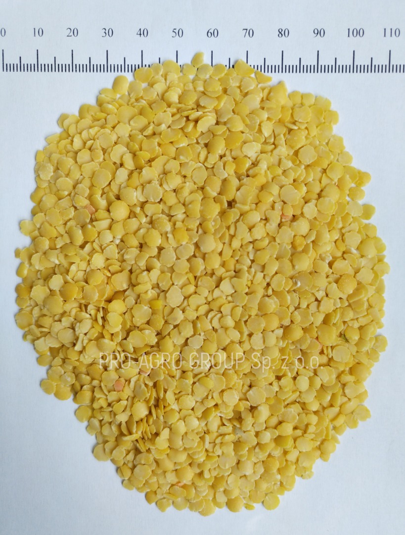 *** Lentejas amarillas (mitades) *** Parámetros de calidad: Pureza - 99.9% Humedad - no más de 12.0% Adiciones de basura - 0% Calibre - 5+ Cosecha 2017 (Rusia)