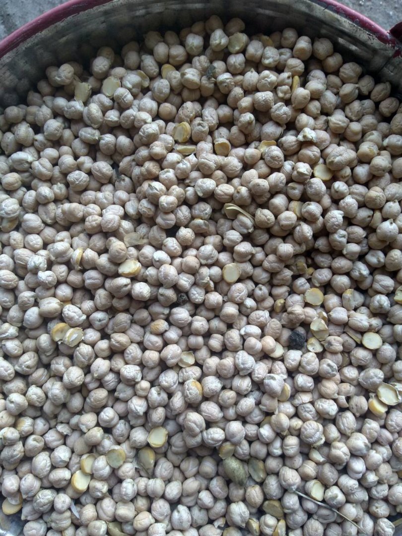 producción propia de Ucrania (2018), tamaño de las semillas: 8-12 mm; peso 1000 semillas = 480 g; gran calidad (pureza 99%, sin kernel roto); entrega dentro de
