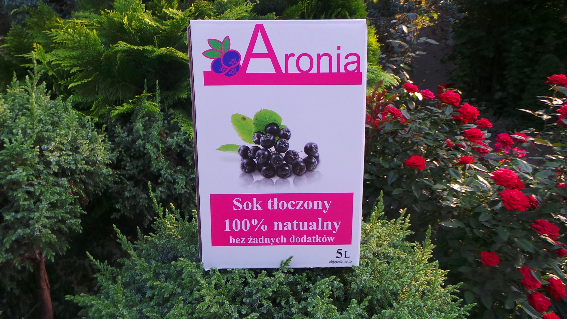 PLN 5l- PLN 30 100% de SOKE FROM ECOLOGICAL-5L Ecológico Aronia Juice 5L en un paquete Bag in box Sin agua añadida, sin azúcares añadidos ni conservantes, es
