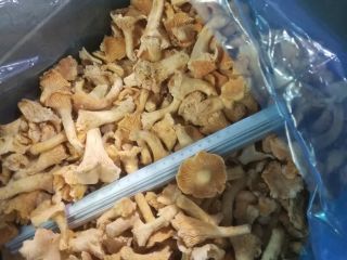 Venderé un grifo congelado. Solo al por mayor. Precio