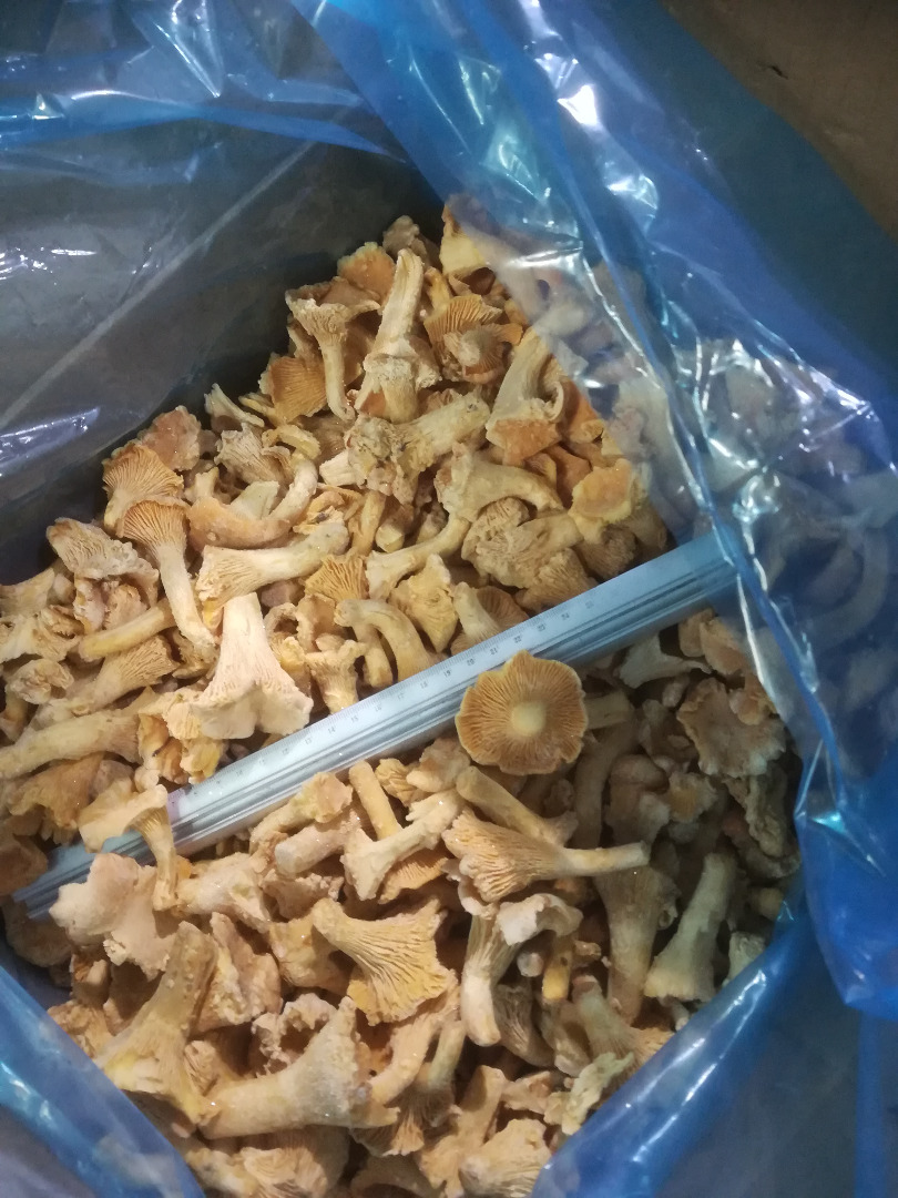 Venderé un grifo congelado