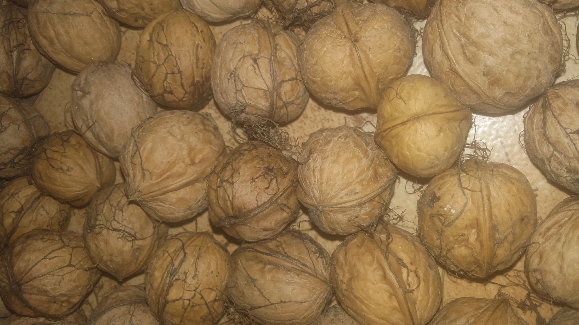 Venderé nueces, sin cáscara, orgánicas, secas