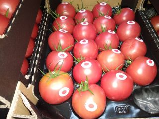 Venderé tomate frambuesa, polaco, bonito, fresco. Recepción en Błędów