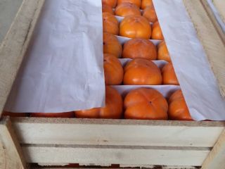 Ofrezco la posibilidad de importar kaki. La cantidad de