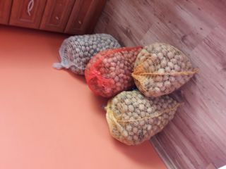 Venderé 42 kg de nueces de este año.