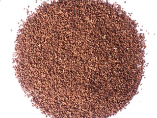 Me gustaría vender Evening Primrose Seeds con un precio