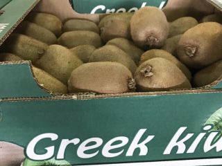 KIWI I GATUNKU DE GRECIA Vendemos una variedad de