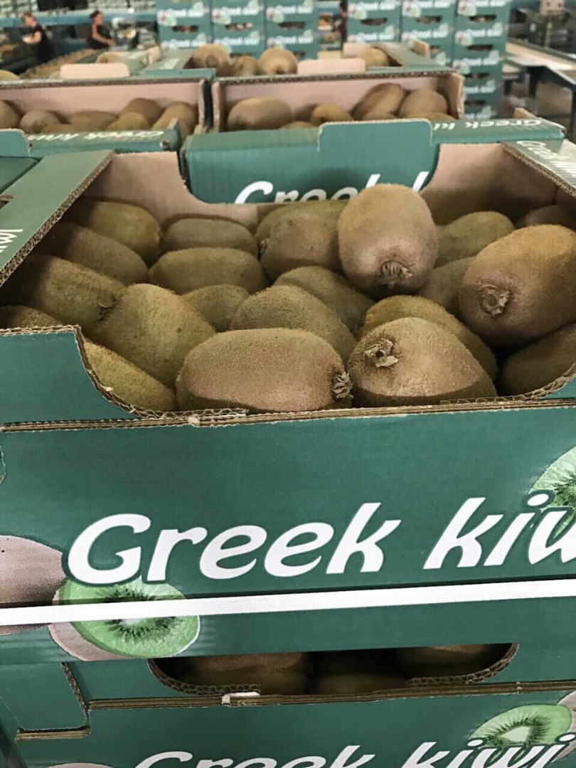 KIWI I GATUNKU DE GRECIA Vendemos una variedad de Kiwi Chehelidi, Hayward, Flauta, calibre 18 - 20 - 23 - 25 - 27 - 30 - 33 36 - 39