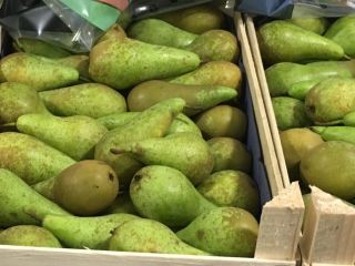 Pear Conference todos los calibres de 55+ a 75+.
