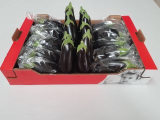A la venta una berenjena española (grande) sin intermediarios