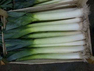 Estoy esperando arte o kilos de cantidades de palets