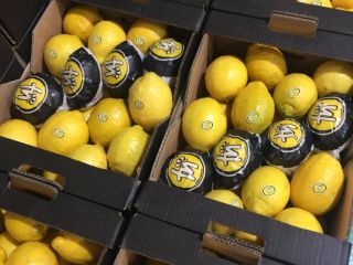 Limón de España. Precio atractivo Embalaje gratis. Artículos a