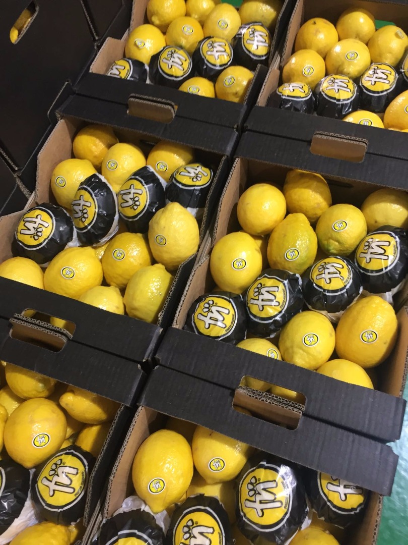 Limón de España