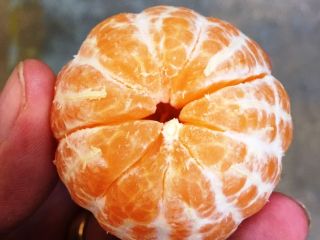 Venderé una mandarina - talla 3.4 - suelta -
