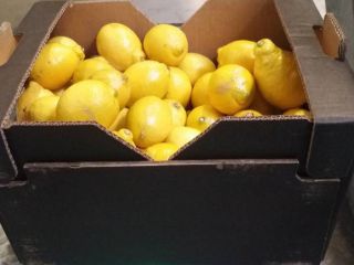 La Clase Limón II, exportada desde España, tiene una