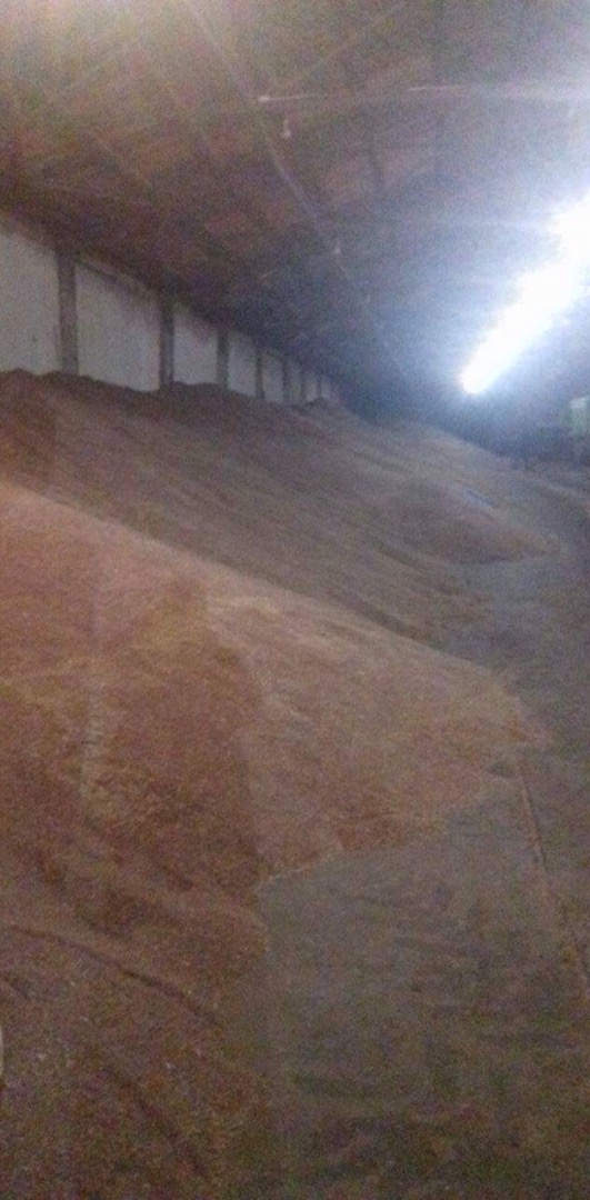 Productor agrícola que vende lino ecológico con certificado de 100 toneladas