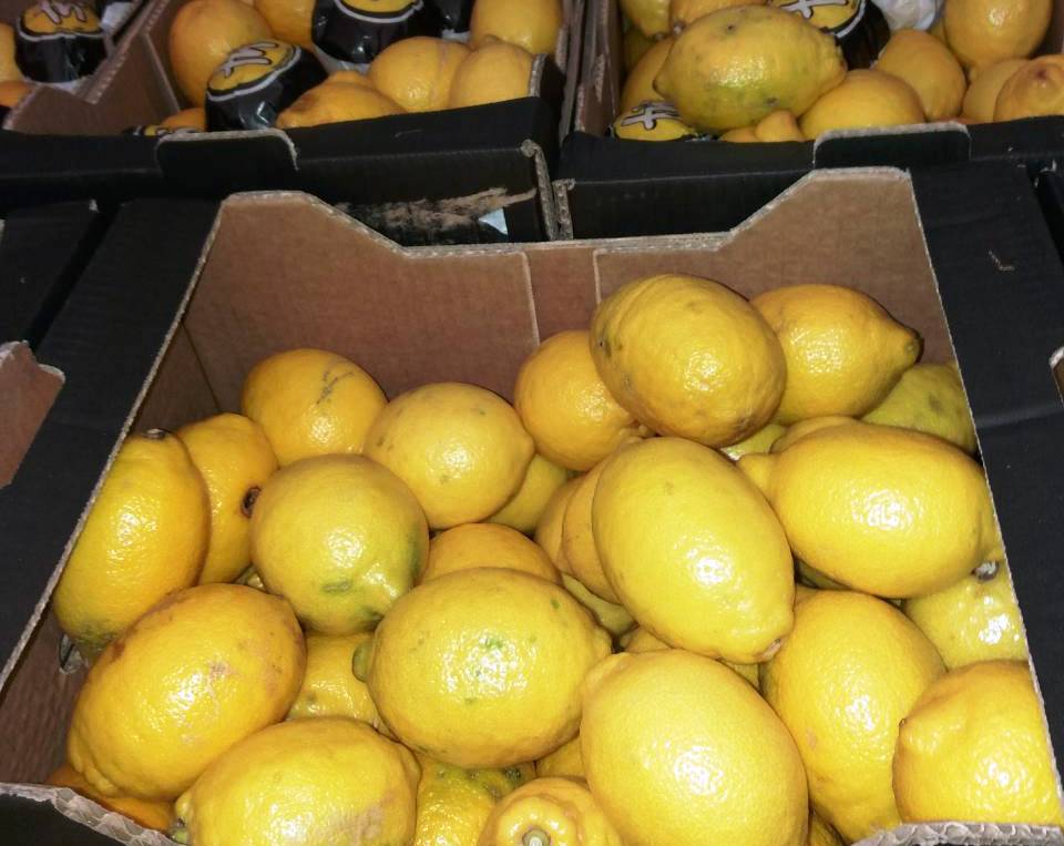 Venderé un limón, importación de España, 2ª clase (estándar), defectos de carne, carne sana, bonita, fresca