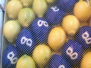 Venderé limón, primera clase, importación de España, 3/4/5 en
