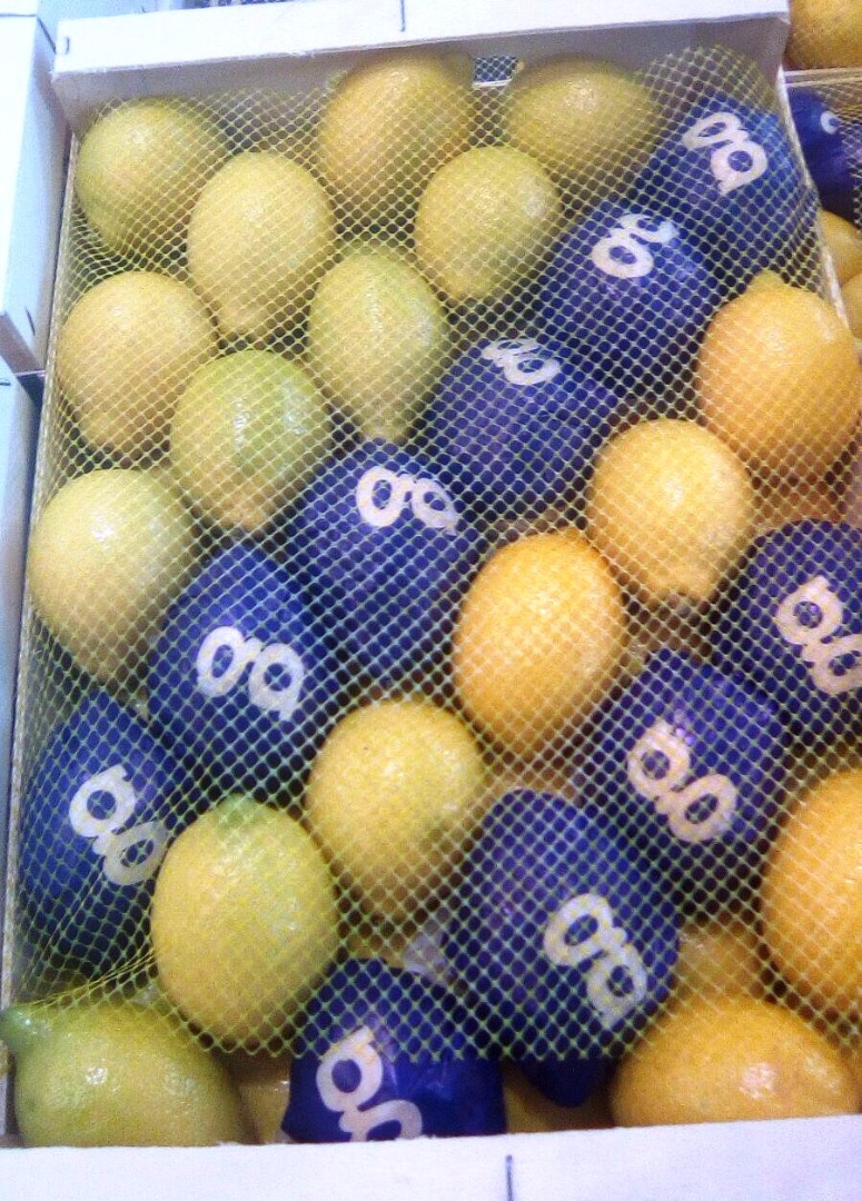 Venderé limón, primera clase, importación de España, 3/4/5 en pulpa suelta y de alta calidad