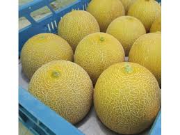 Venderé melones - melón - importación de Brasil