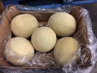 Venderé Melon - Oro caribeño - en cajas de