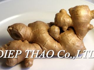 Nombre del producto: jengibre fresco - Origen: Vietnam. -