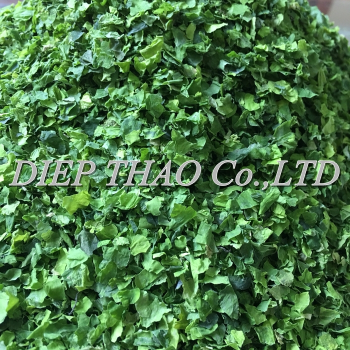ESPECIALIZACIÓN DE ULVA LACTUCA SECADA: - Nombre del producto: ulva lactuca seca - Origen: Vietnam