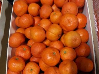 Venta de mandarinas, clase II, importación de España, cartón