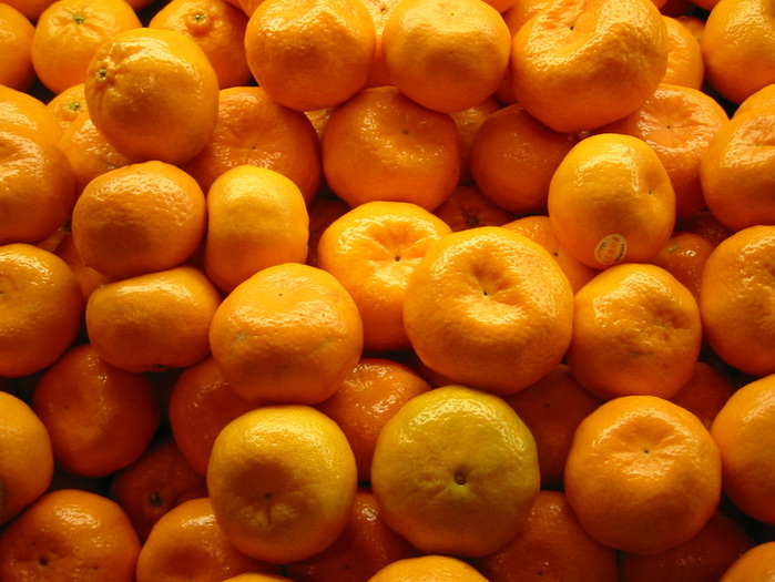 Importación de cítricos de España, limones y mandarinas ya disponibles, más información para los interesados