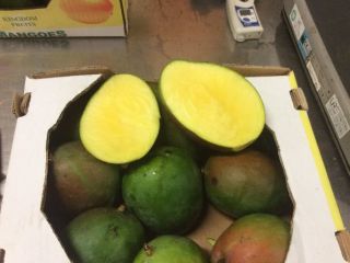 Venderé mango fresco, origen - países del oeste de