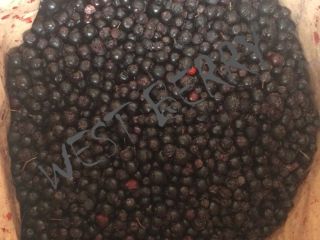Vamos a vender chokeberry congelado de Ucrania - 10