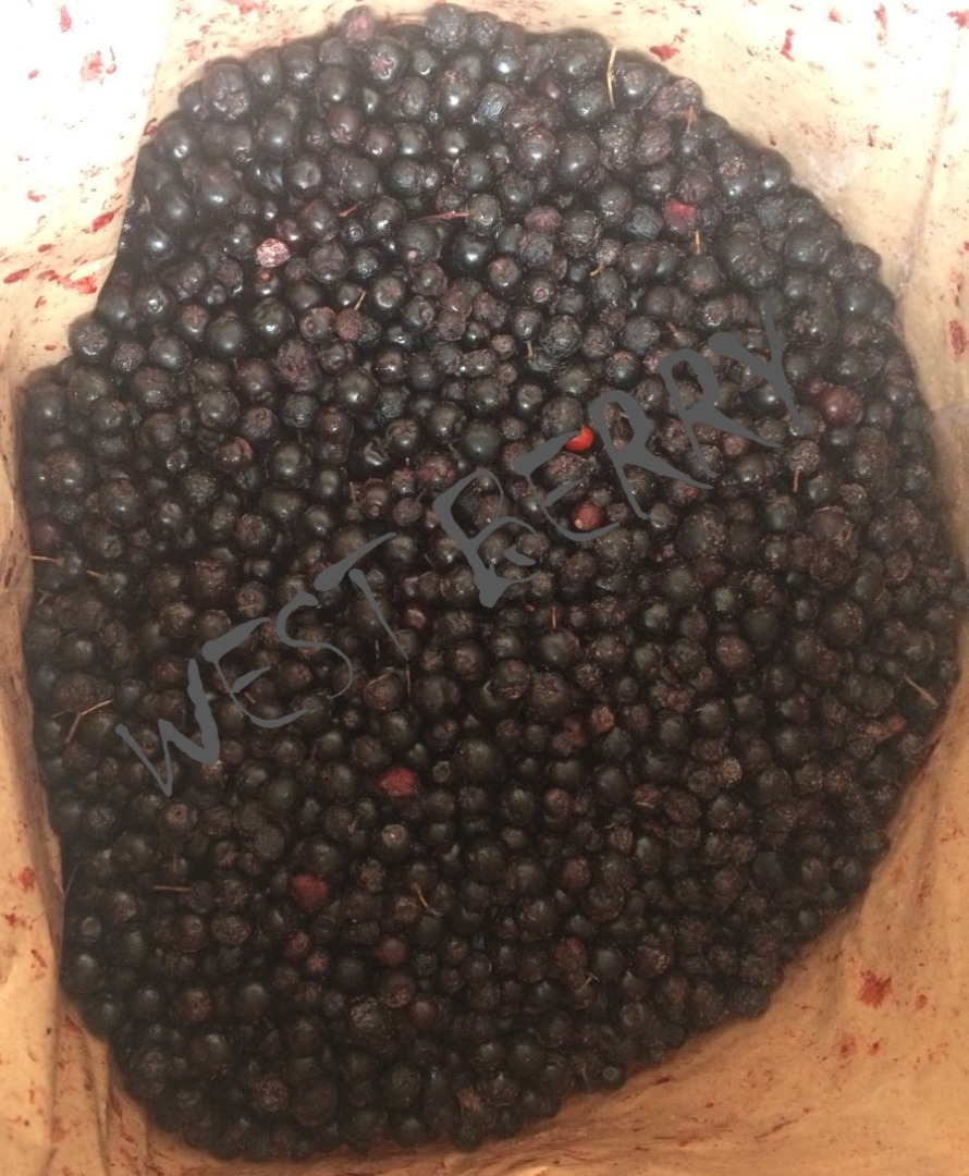 Vamos a vender chokeberry congelado de Ucrania - 10 875 kg