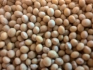 Colección limpia Soya Mavka 2017. Envasado después de 50