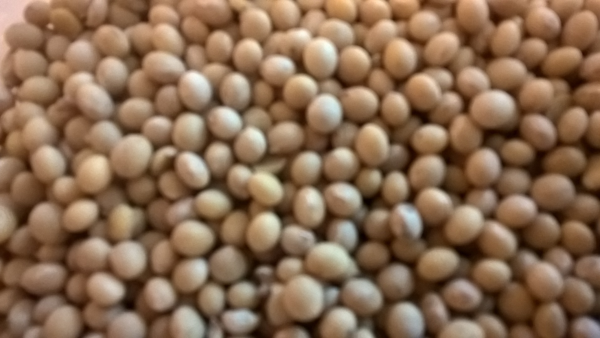 Colección limpia Soya Mavka 2017