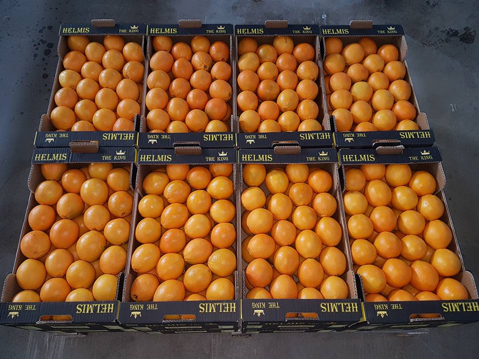 Buenos días, ofrecemos cítricos de Grecia directamente del productor