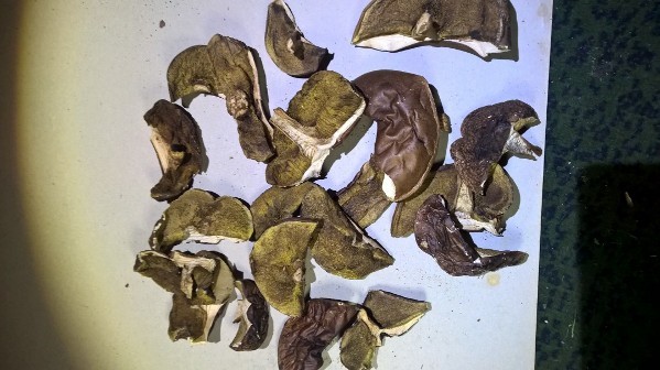 Boletes de laurel secos con certificado PSSE de la colección de este año