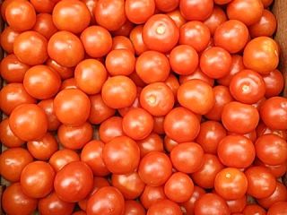 Cóctel de tomate, fresco, bonito, cartón de 3 kg.