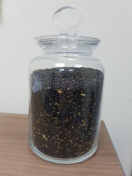 venta de contenido de aceite de colza 46%, 30 toneladas