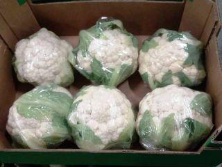 Venderé coliflor: - 1ra clase, importación desde España, -