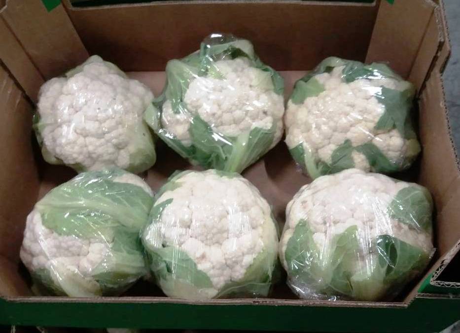 Venderé coliflor: - 1ra clase, importación desde España, - 6 pzas / caja, peso de la cabeza aproximadamente 500 g, diámetro aproximado de 11 cm, laminado
