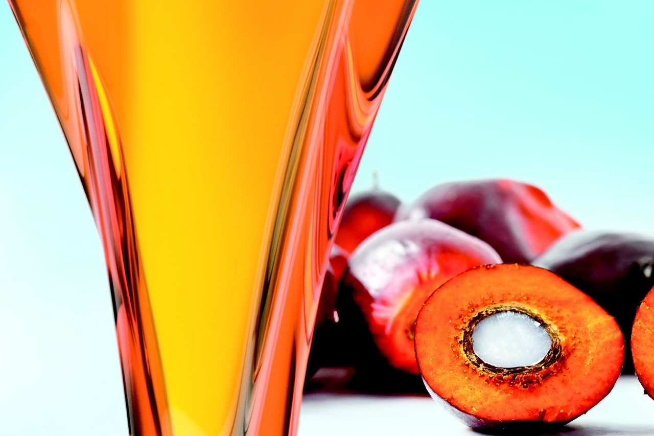 Aceite de palma Crudo y refinado, aceite de semilla de palma, aceite para biodiesel Tenemos nuestra plantación, fábrica y refinería, almacén y oficina ubicada
