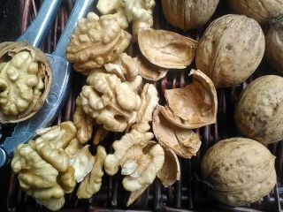 Nuez descascarillada, muy buena calidad, de una granja orgánica