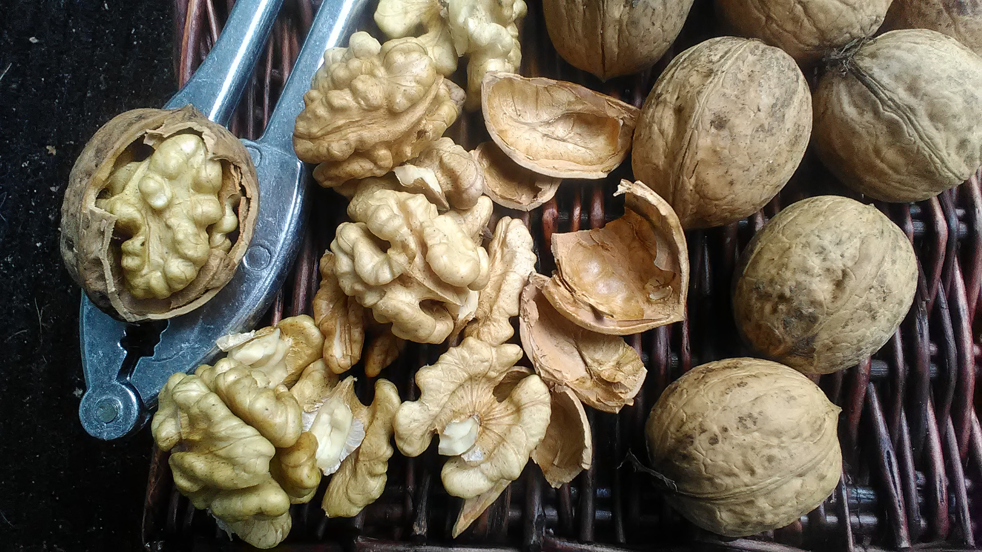 Nuez descascarillada, muy buena calidad, de una granja orgánica