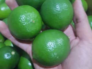 Limonki País de origen Vietnam 1500 $ cif Koper