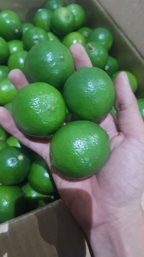 Limonki País de origen Vietnam 1500 $ cif Koper