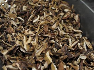 Compraré setas secas: boletus en todas las posturas, boletus